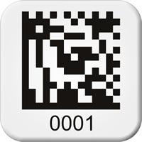 Sequential Pre-Numbered 2D Barcode Labels, 0.75 x 0.75